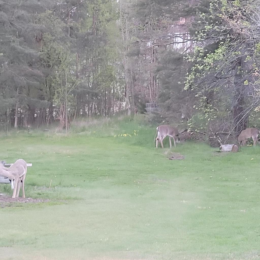 Paeivaekulma Villa Nådendal Eksteriør bilde